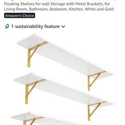 Hanging Shelves (BRAND NEW)