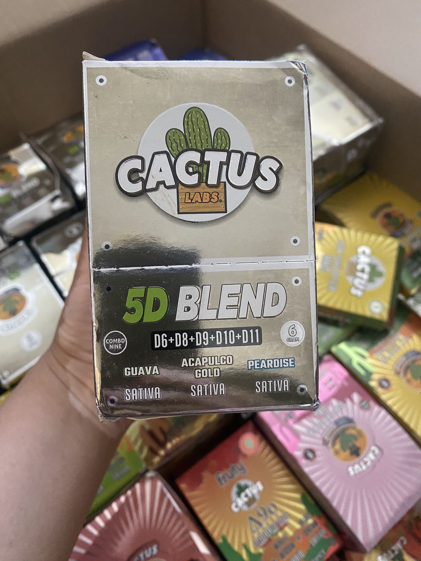 Fruty Cactus