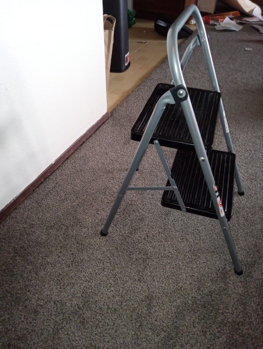 Ladder_2 Steps