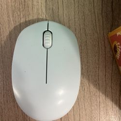 Mouse