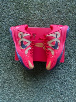Kobe 5 Year of the Mamba University Red