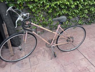 Bicycle Schwinn Vintage 10 Speed Needs Tires Was Stored In Our Garage