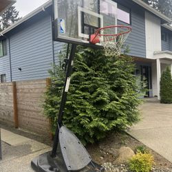 FREE Basketball Hoop!