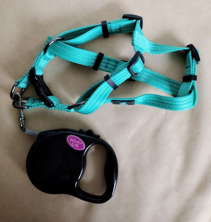 Retractable Leash and Adjustable Harness for Large Cat or Small Dog