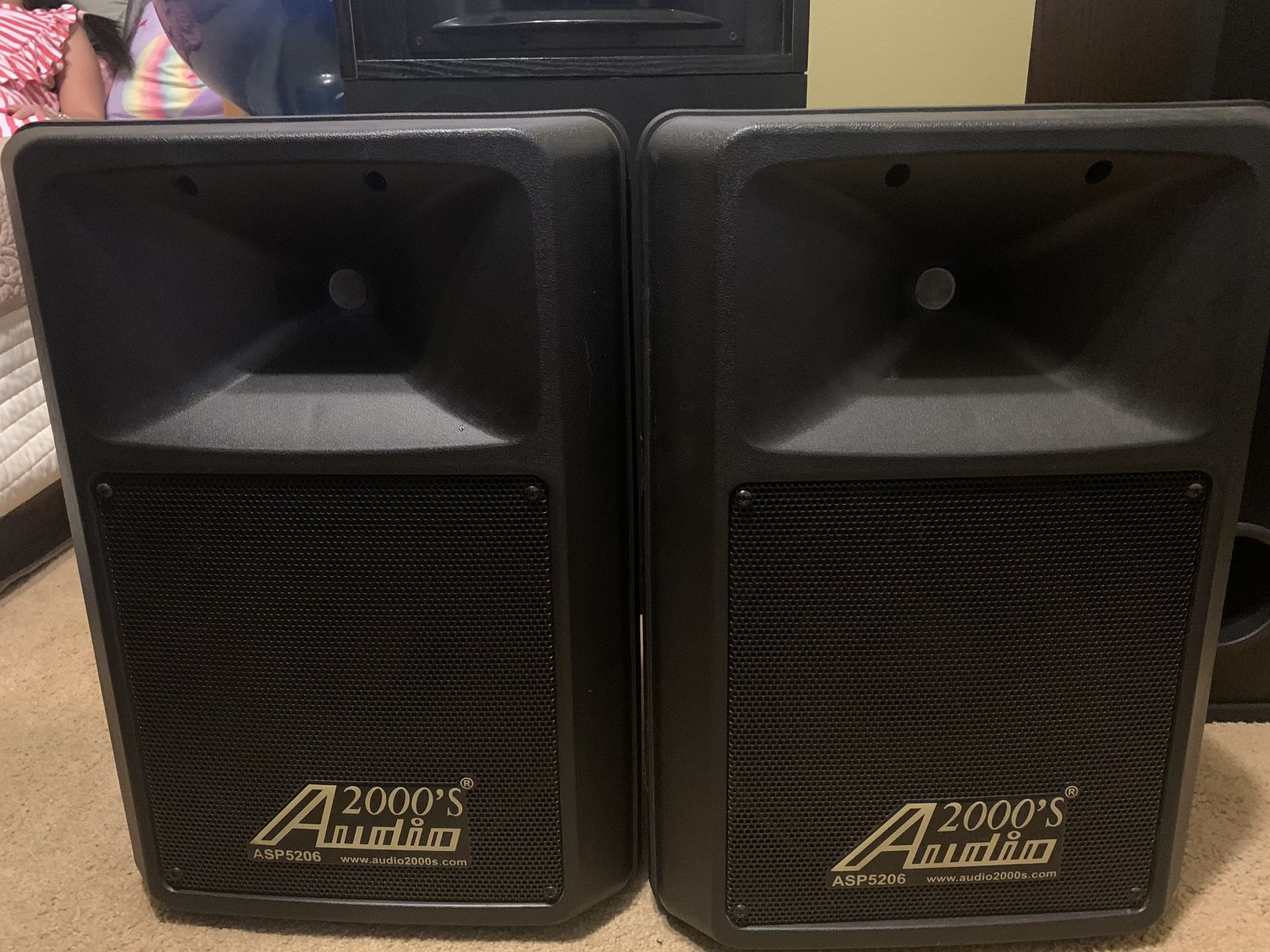 Audio 2000s speaker 10”