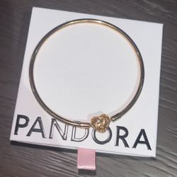 Pandora Bracelet