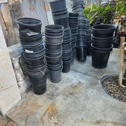 Containers For Plants 5 Gall And 15 Gall