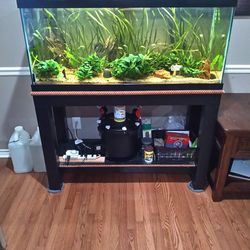 75 Fresh Water With Stand