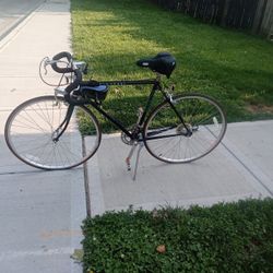 Schwinn World Sport Bike