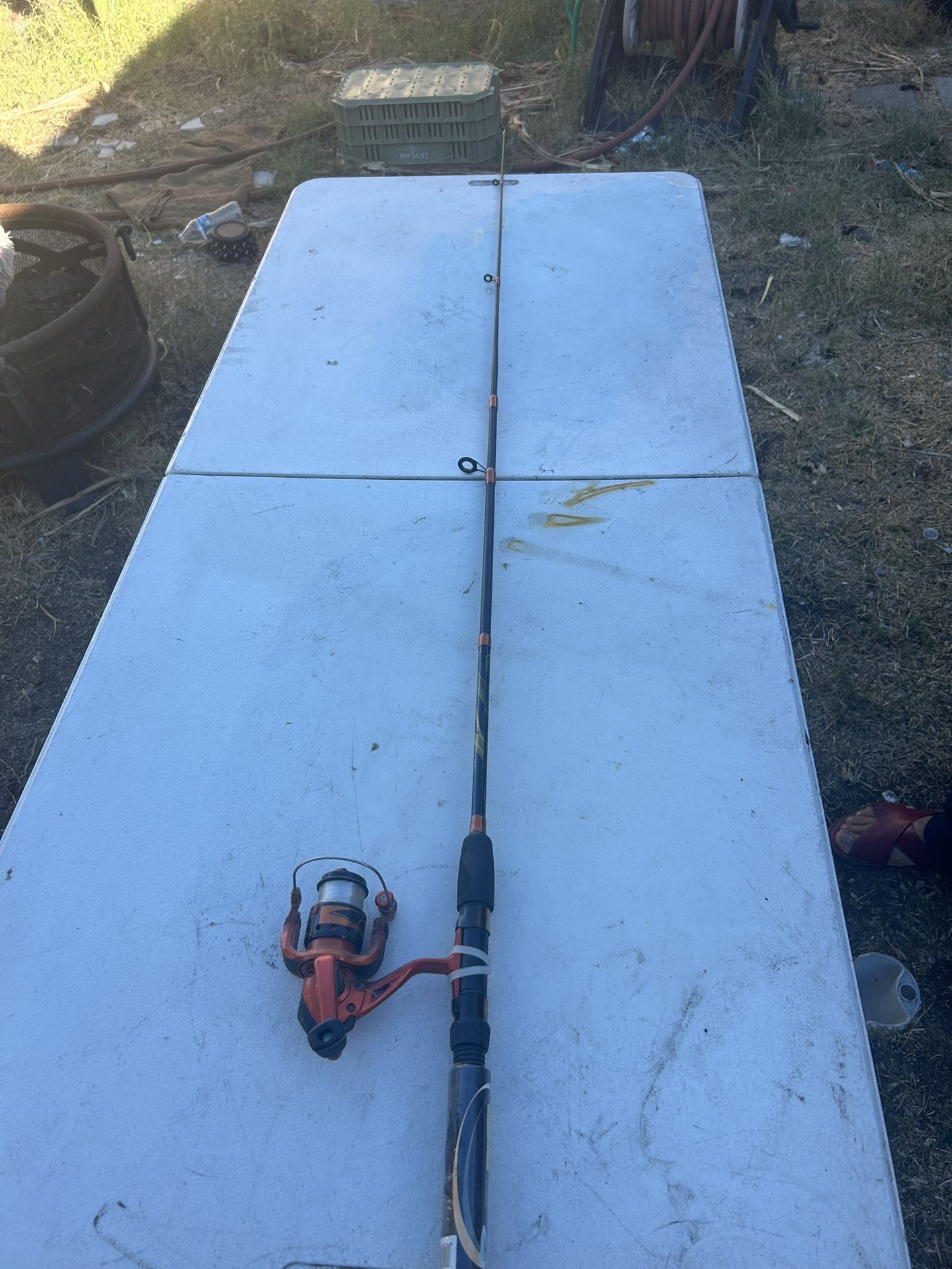 R2F Ready2Fish