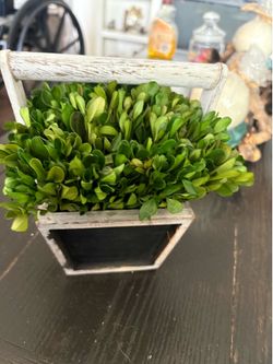Small artificial plant