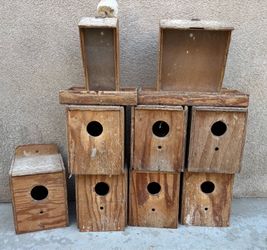 Bird boxes & feeders