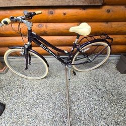 Schwinn Errand Cruiser 