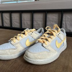 Kids Nike Dunks