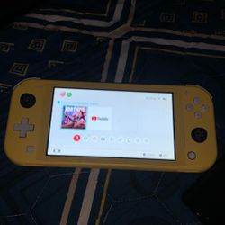 Nintendo switch lite