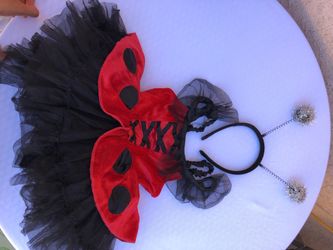 Size 2t lady bug costume