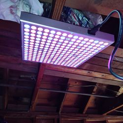 Grow Lights 