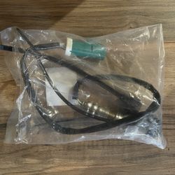 Oxygen Sensor 