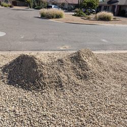 FREE Madison Gold 3/4 Sized Granit. 