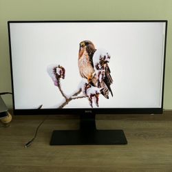 BenQ GW2480 Computer Monitor 24" FHD 1920x1080p
