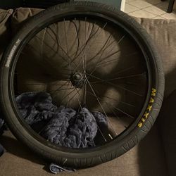 Back Rim Fixed