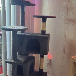 Cat Tree