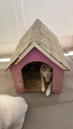 Medium Dog House