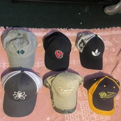 20  Dolares  6 Mens Hats 