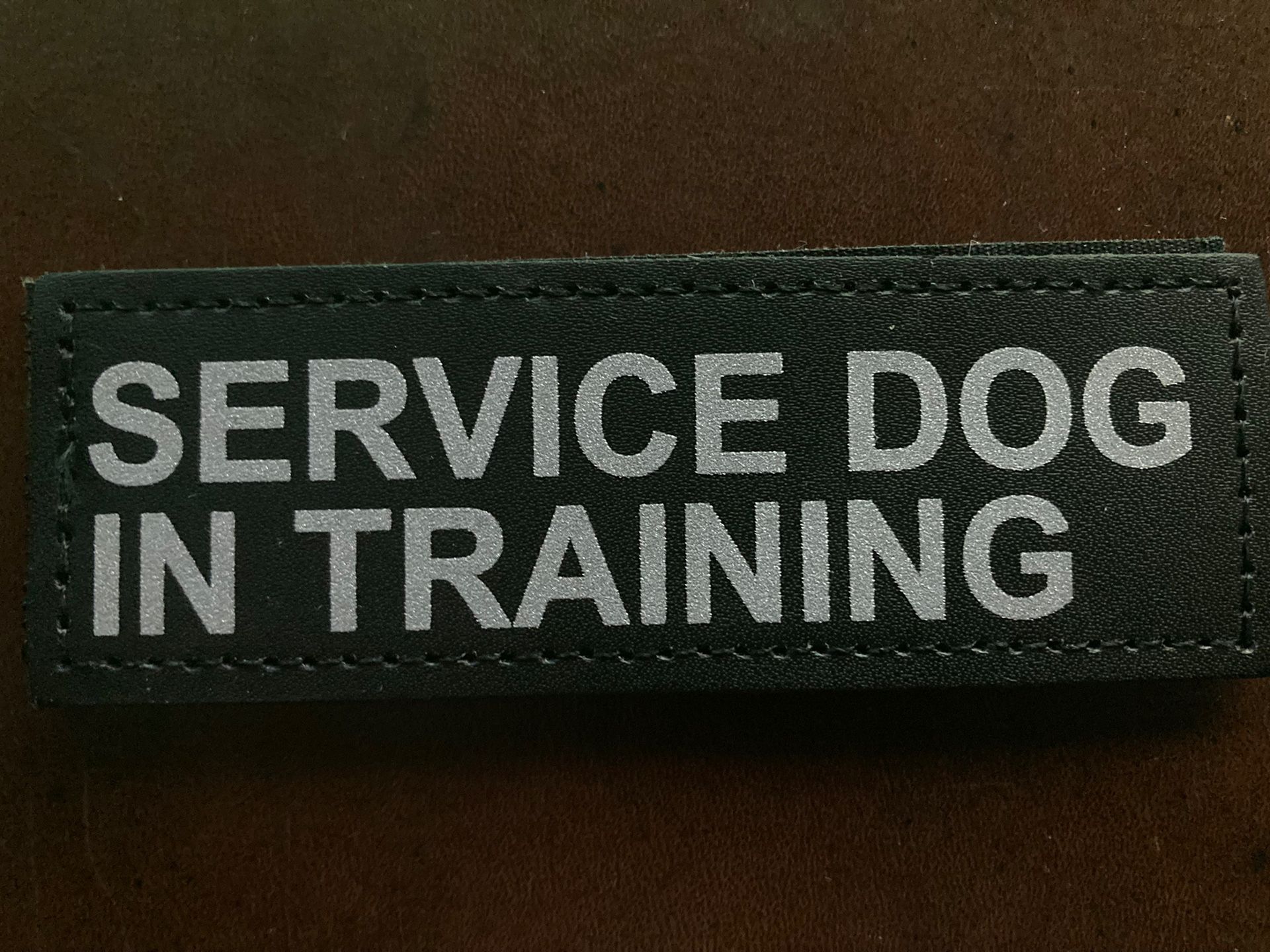 Service Dog In Training Patches
