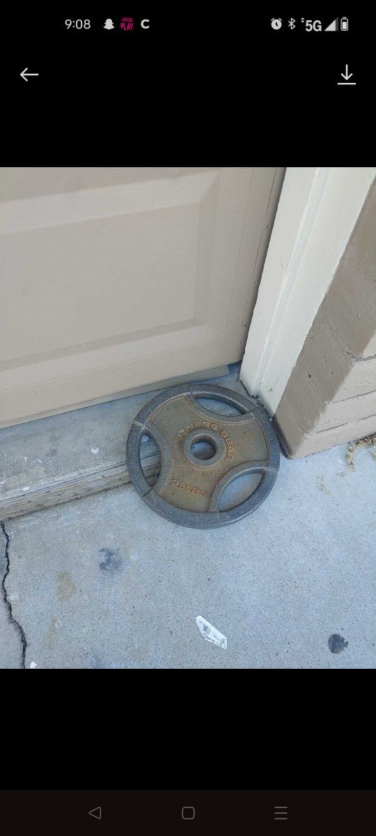 25 Pound Weight
