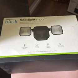 Blink floodlight mount
