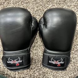 Boxing Gloves 