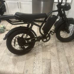 Electric Bike Cargo 