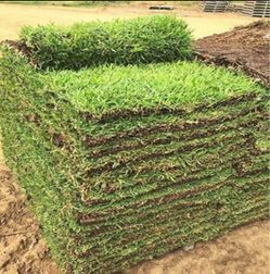 Pallets Of Grass (sod)