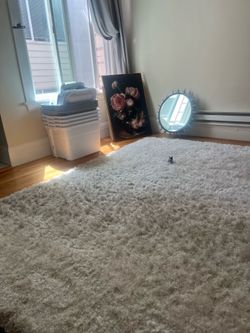 free beige rug