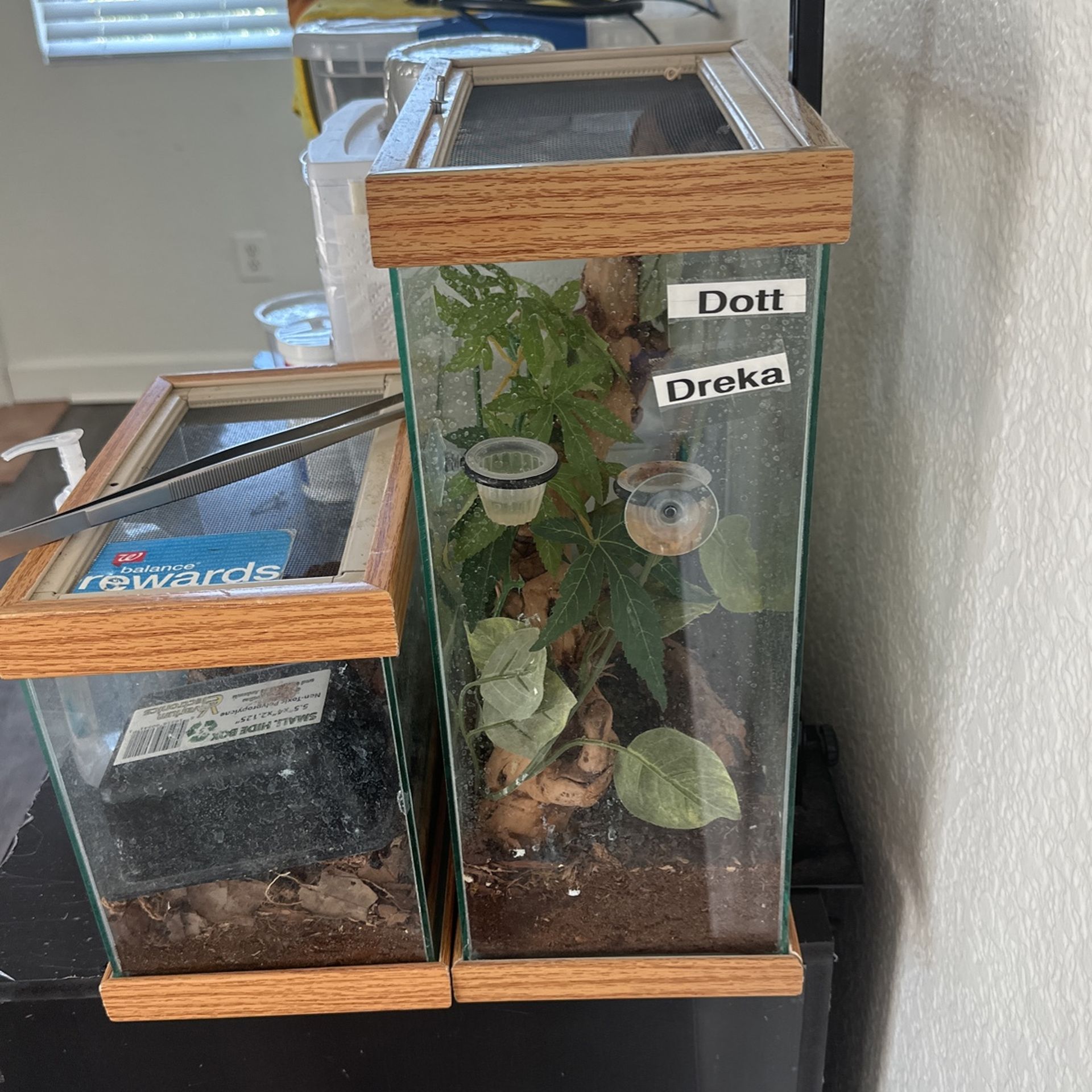 Crested Gecko Tank (Cage Only)