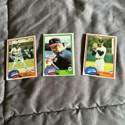 1981 Baseball Cards
