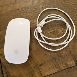 Wired Apple mouse for iMac