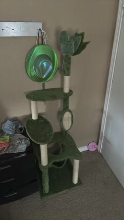 small kitten house