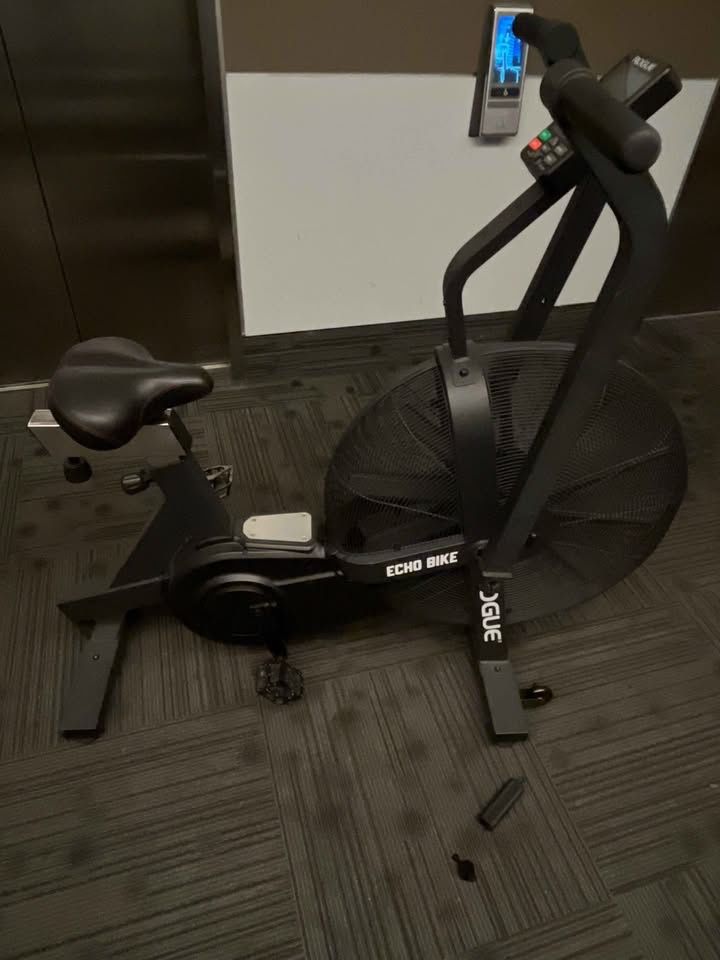 Rogue-Echo Bike-V3.