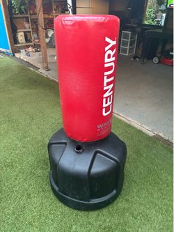 Boxing training bag
