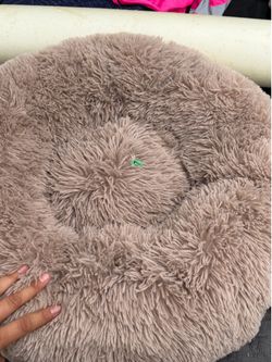 Pet or cat or dog bed- large