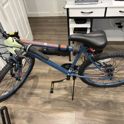 Adult Bike 