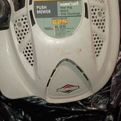 Yard Man -  Brigg & Stratton