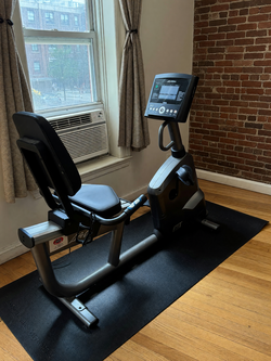 Life Cycle RS1 Recumbent Bike Like New Magnetic Resistance - New York, NY