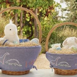 Pottery Barn Kids Dinosaur Easter Basket Liner