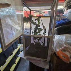 Reptile Enclosure