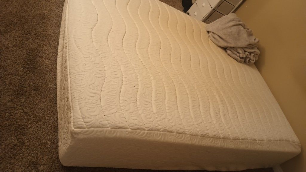 Free 10in Queen Foam Mattress