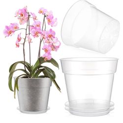 Masera Trasparente Para Plantas Livianas