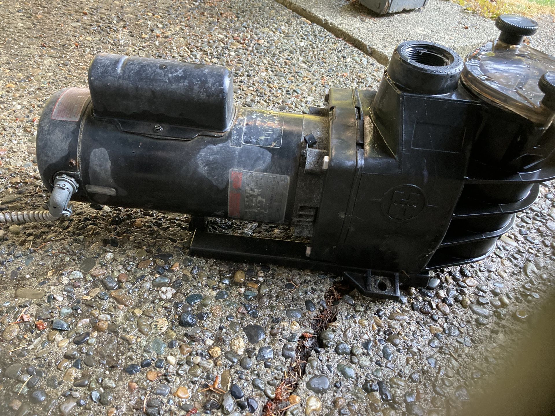 Pool Pump And Filter for Sale in Lynnwood, WA OfferUp